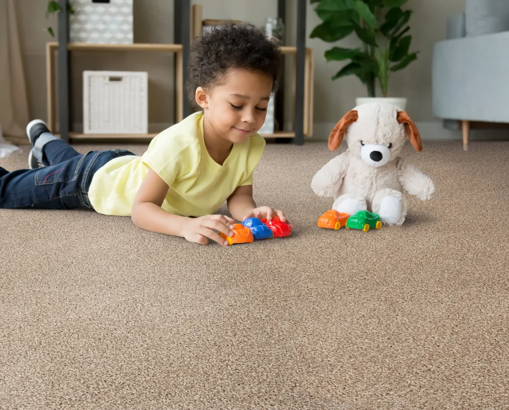 Best carpet for your home