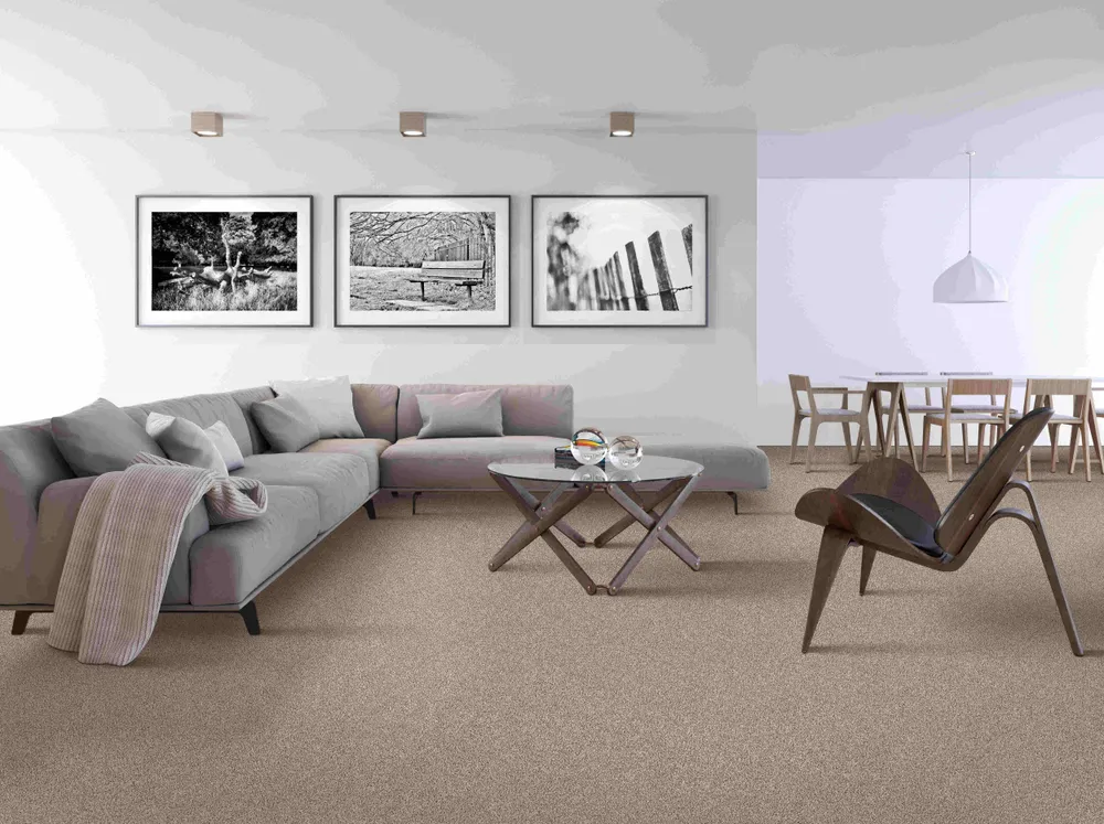 Best carpet for your home
