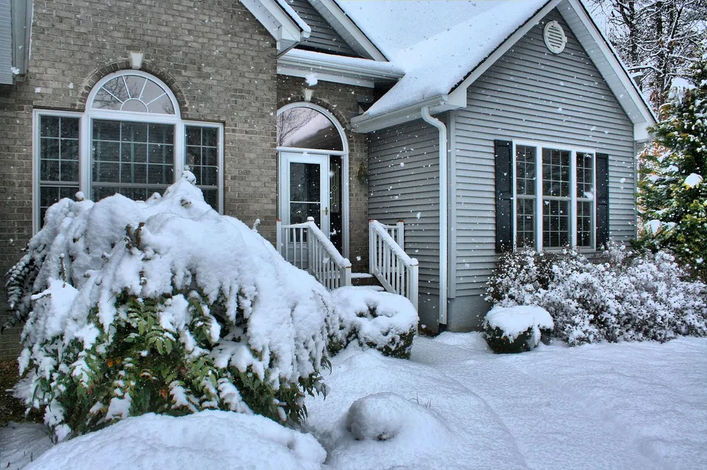 How to Protect Your Floors During Winter and Wet Seasons